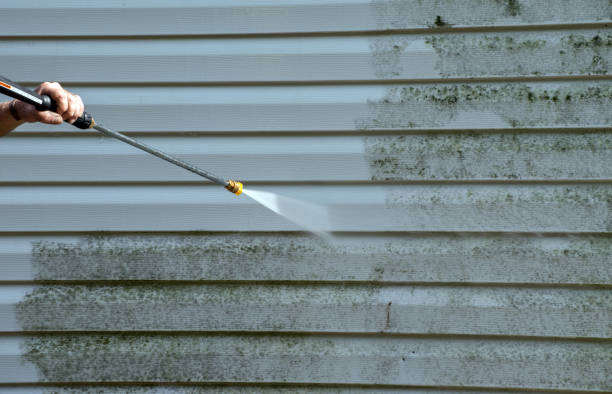 Best Attic Mold Removal  in Dublin, TX