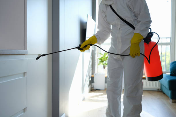 Best Mold Damage Repair  in Dublin, TX