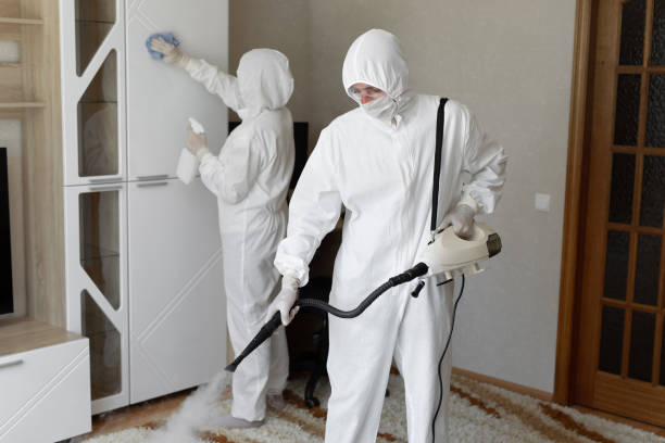 Best Commercial Mold Removal  in Dublin, TX