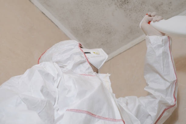 Best Mold Remediation  in Dublin, TX