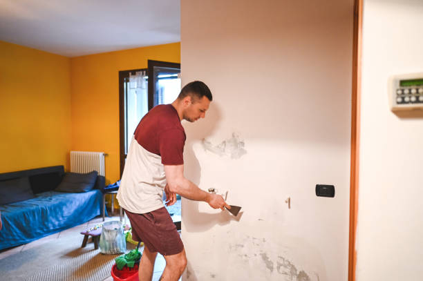 Best Mold Remediation  in Dublin, TX